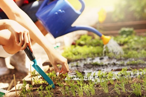 Lawn care work in a Mitcham residential garden