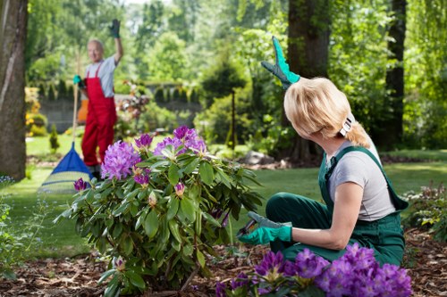 Garden maintenance in Mitcham with a tidy lawn and landscaped beds