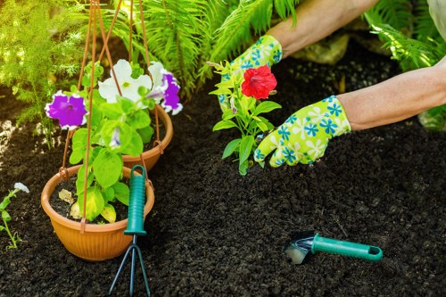 Customer complaint review for landscaping service