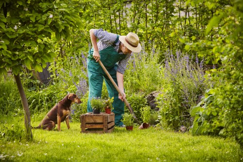 Professional lawn mowing for a Mitcham residential garden