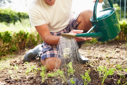 Insured rubbish company providing safe landscaping and waste removal
