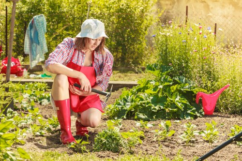 Landscape gardeners working on a residential garden in Mitcham