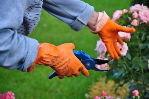 Separate recycling streams for landscaping waste in Mitcham