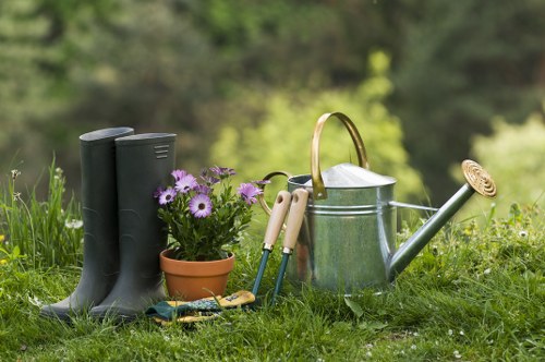 Low-maintenance planting design for a Mitcham outdoor space