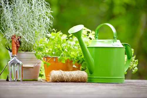 Professional lawn care for a commercial or residential area in Mitcham