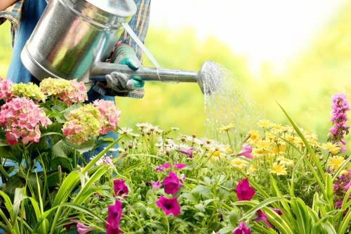 Routine grass cutting service for a local Mitcham property