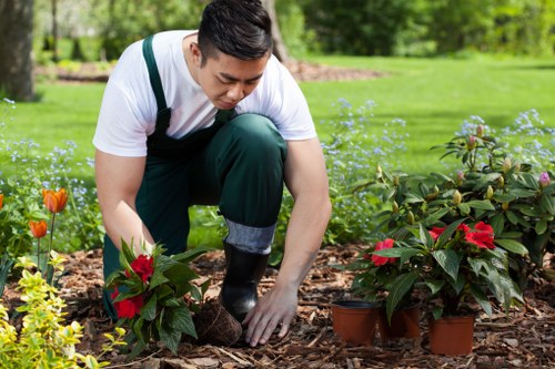 Planting and hard landscaping features in a local Mitcham garden