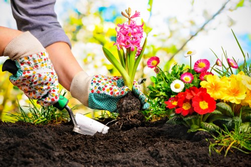 Keyboard navigation and screen-reader support for Mitcham landscaping site