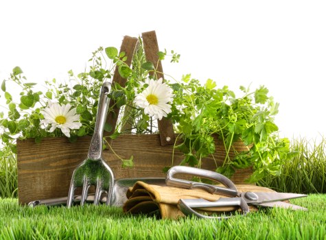 Lawn mowing and garden upkeep for residential and commercial sites in Mitcham