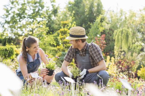 Local lawn maintenance for a front garden in Mitcham